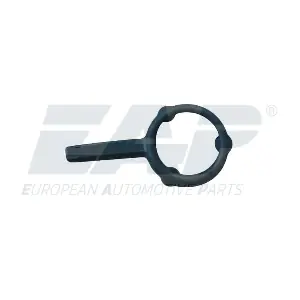 EAP02642 EAP