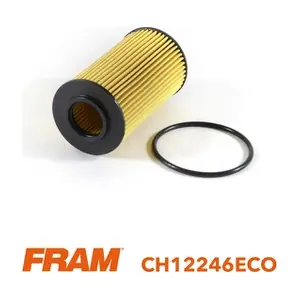 CH12246ECO FRAM