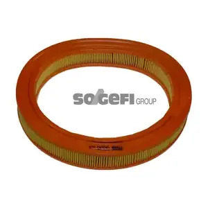 CA3145 FRAM