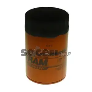 FRAM PH3980