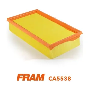 FRAM CA5538