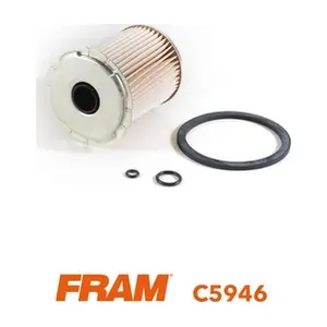 FRAM C5946