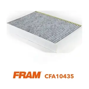 FRAM CFA10435