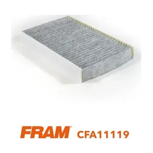 CFA11119 FRAM