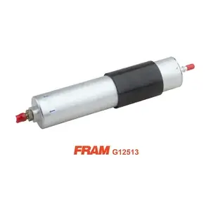 G12513 FRAM