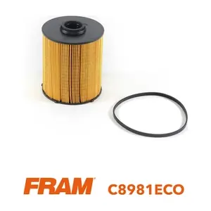 FRAM C8981ECO