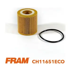 CH11651ECO FRAM