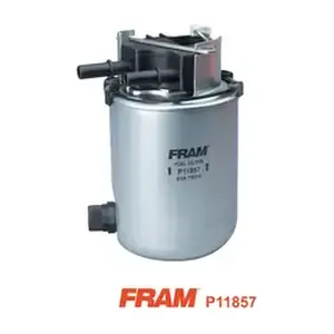 P11857 FRAM