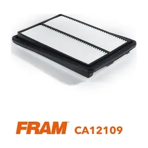 CA12109 FRAM