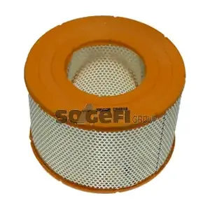 FRAM CA4818