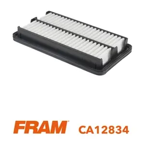 CA12834 FRAM