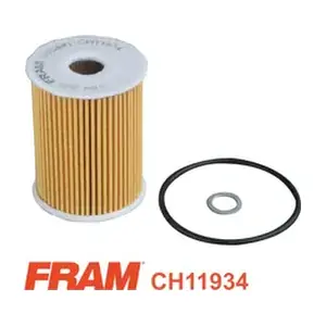 CH11934 FRAM