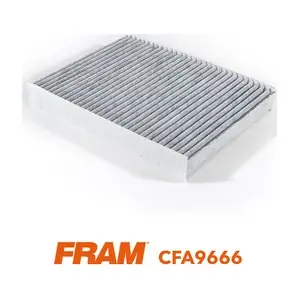 FRAM CFA9666