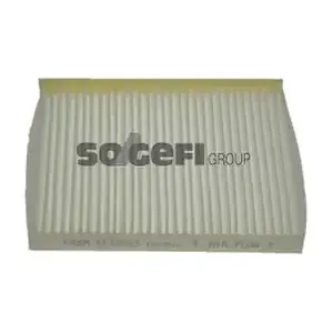 FRAM CF10025