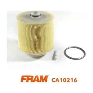 CA10216 FRAM