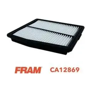 CA12869 FRAM