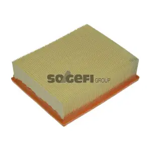 FRAM CA8675