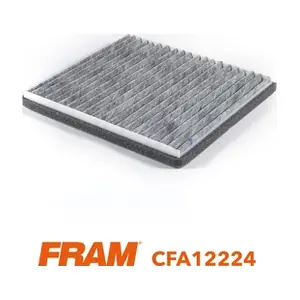 CFA12224 FRAM