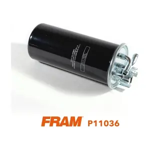 FRAM P11036
