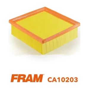 CA10203 FRAM