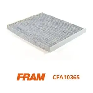 FRAM CFA10365