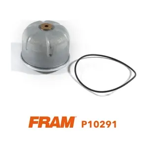 P10291 FRAM