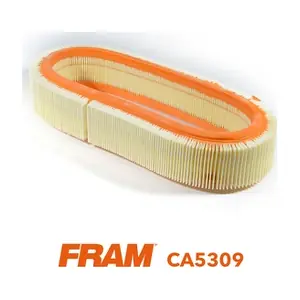 FRAM CA5309