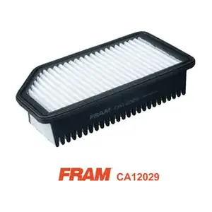 CA12029 FRAM