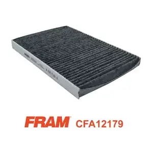 CFA12179 FRAM