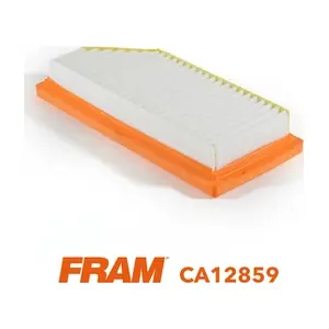 CA12859 FRAM
