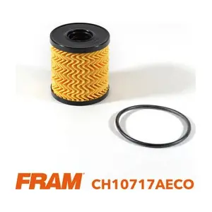 FRAM CH10717AECO