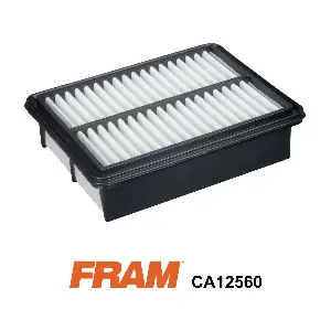 CA12560 FRAM