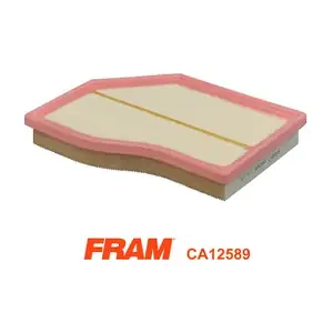 CA12589 FRAM