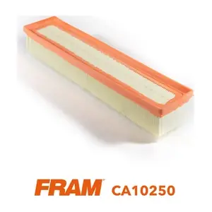 FRAM CA10250