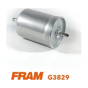 FRAM G3829