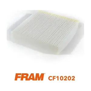 FRAM CF10202