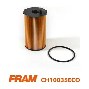 CH10035ECO FRAM