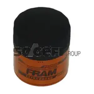 FRAM PH10060