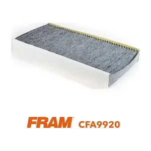 FRAM CFA9920