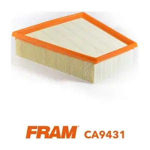 CA9431 FRAM