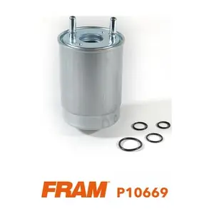 FRAM P10669