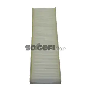 CF10831 FRAM