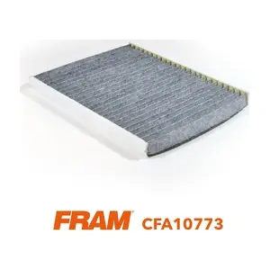 FRAM CFA10773