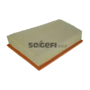 FRAM CA11655