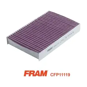 CFP11119 FRAM