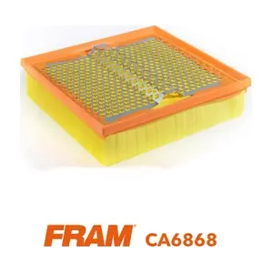 FRAM CA6868