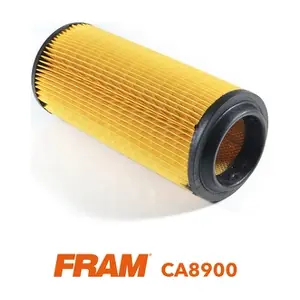 FRAM CA8900