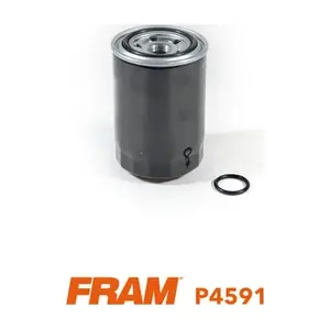 FRAM P4591