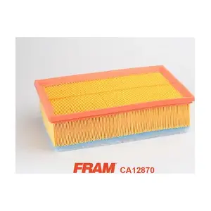 CA12870 FRAM