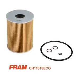 CH11018ECO FRAM